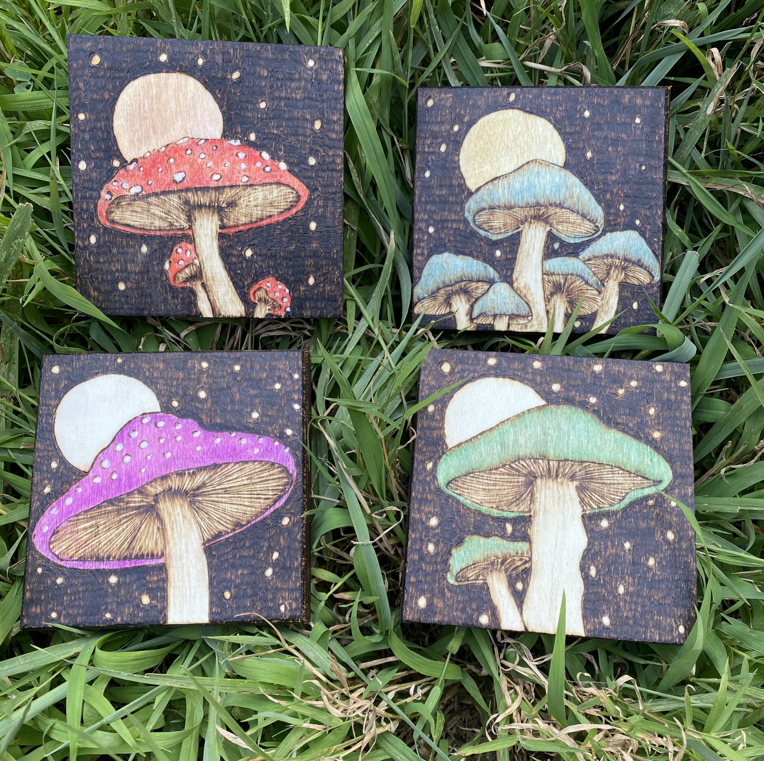 Mushrooms