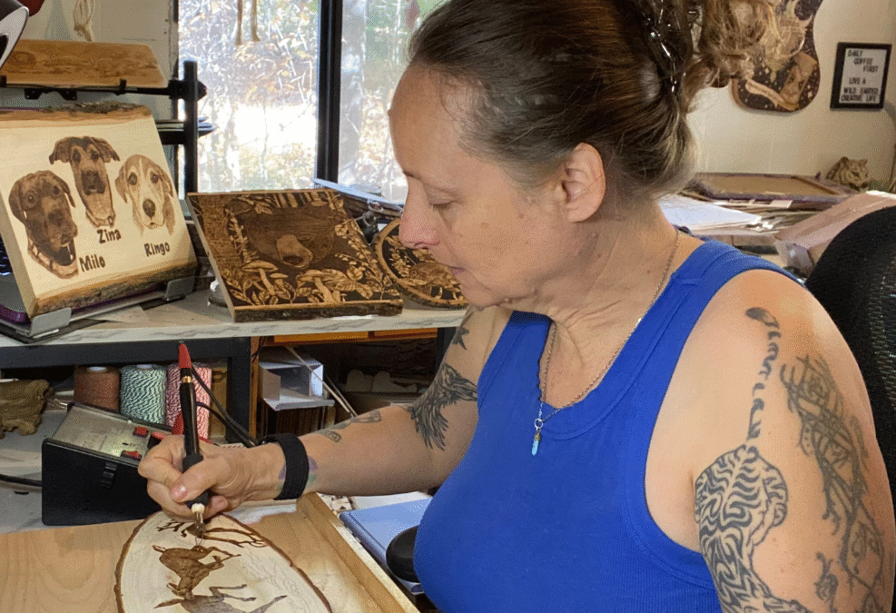 Hobby Wood Burner vs Professional Unit