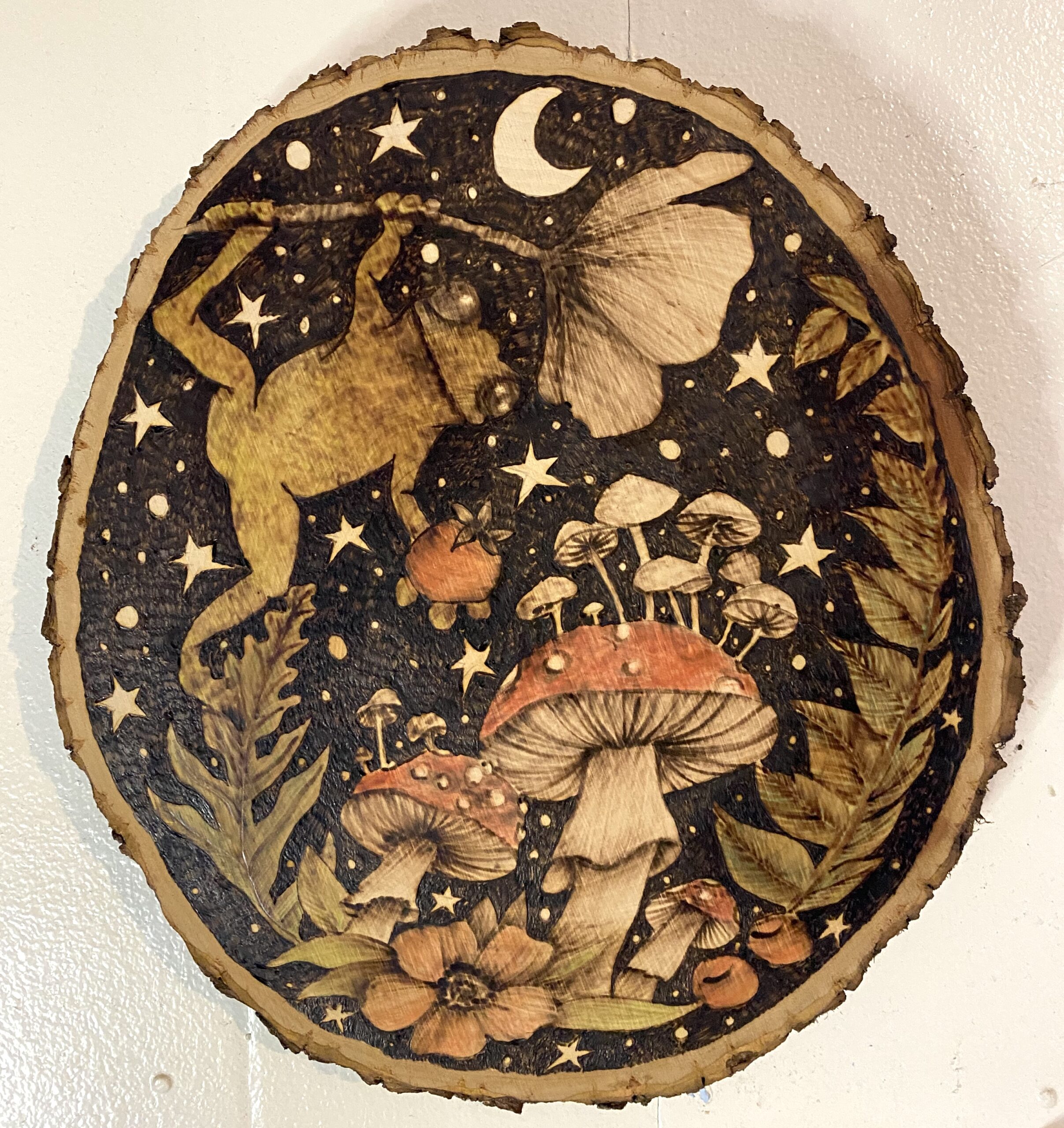 Tree frog Pyrography 2