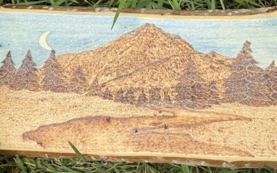 Pyrography for Beginners: Essential Wood Burning Tips, Tools & Techniques