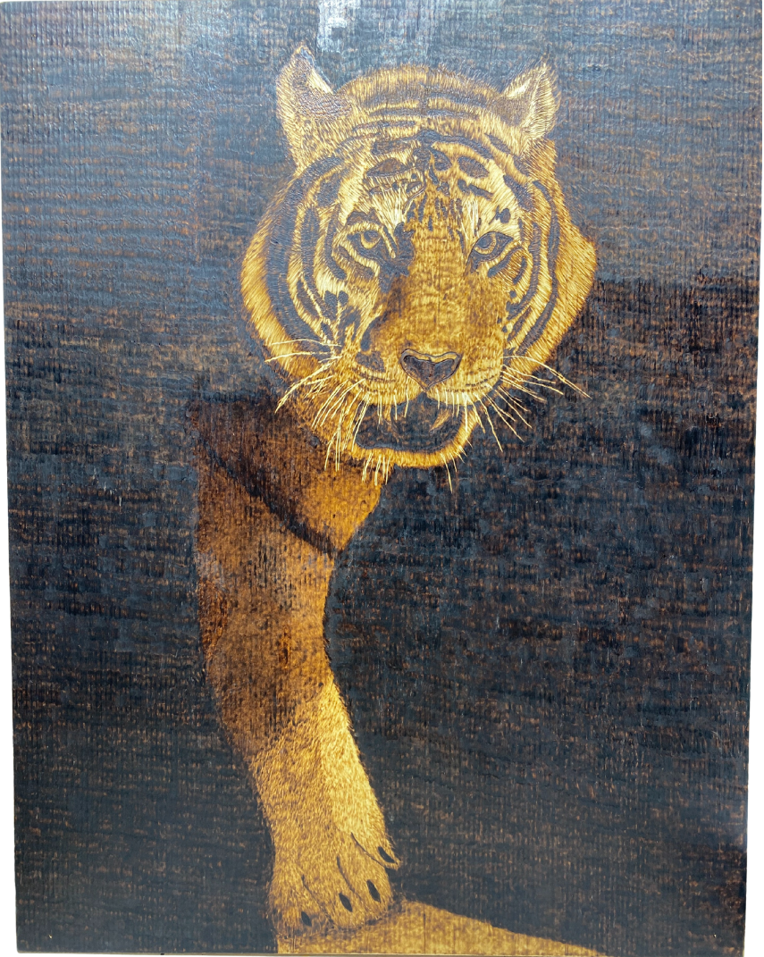 Tiger Transparent