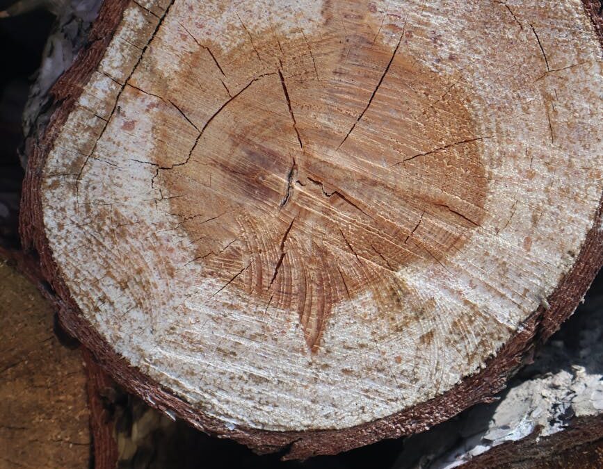 Wood Burning Safety Tips Every Beginner Should Know