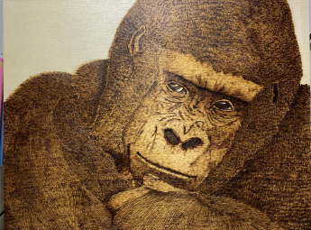 Gorilla Pyrography