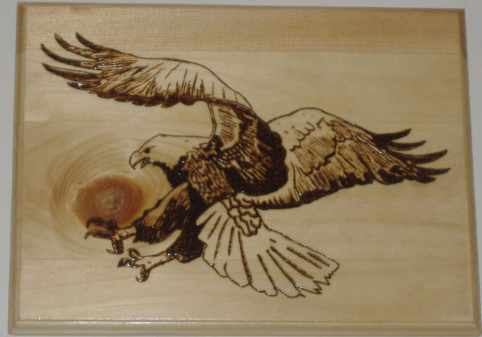 a pyrography eagle 